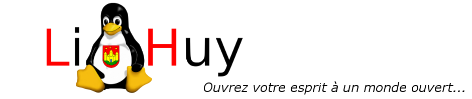 Logo LiHuy